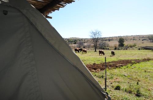 Magaliesberg Apartment | Grotto to Gravel