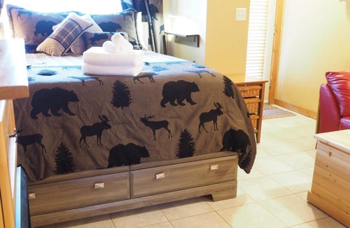 Okanagan-Similkameen Apartment | Ground Floor Cub Manor Studio Condo