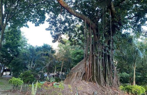 Ibague Apartment | Guayacán Casa Hostal