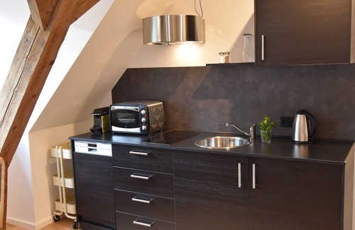 Muenchberg Apartment | Guest apartment with garden