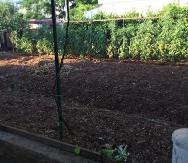 Cres House | Guest House Attilia