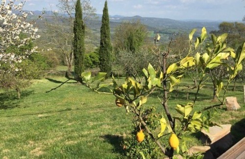 Murci House | Guest house with a large terrace right by the pool