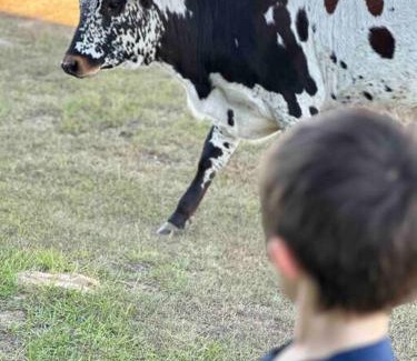 Fredericksburg House | Guest, Vineyard, Longhorn & Ranch House at The Sanctuary