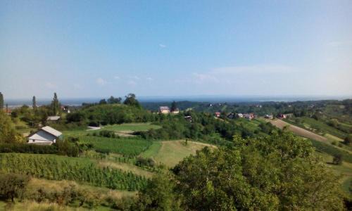 Breznik Plesivicki Bed & Breakfast | Guesthouse Režekov podrum