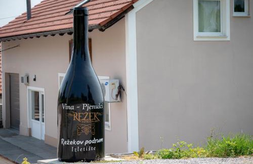 Breznik Plesivicki Bed & Breakfast | Guesthouse Režekov podrum