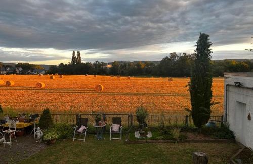 Weißenthurm Apartment | Guidos Place Souterrain Apartment