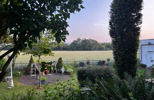 Weißenthurm Apartment | Guidos Place Souterrain Apartment