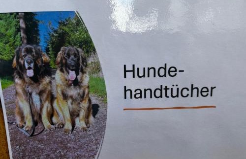 Weißenthurm Apartment | Guidos Place Souterrain Apartment