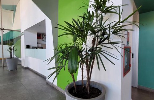 Salta Apartment | Guillermina 1