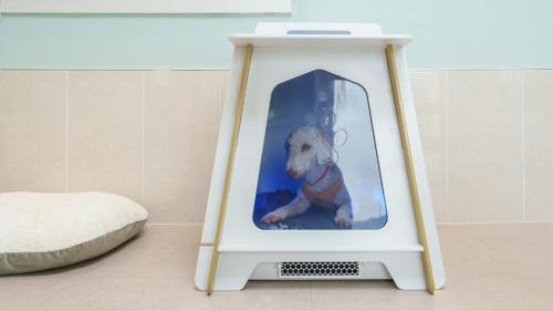 Gyeongsan House | gyeongsan stage-ipple pet pension