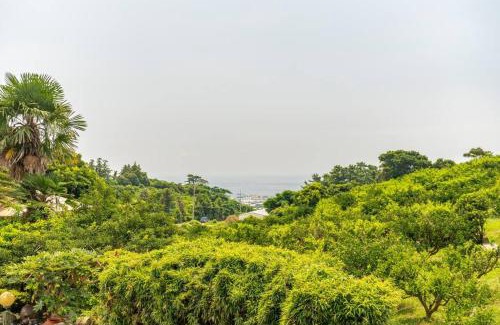 Jungmun House | gyulpang stay