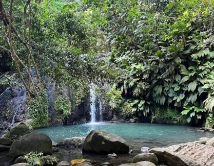 Bis Apartment | Hébergement sous les tropiques