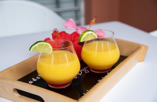 Saint-Francois Hotel | Hôtel Guadeloupe Palm Suites