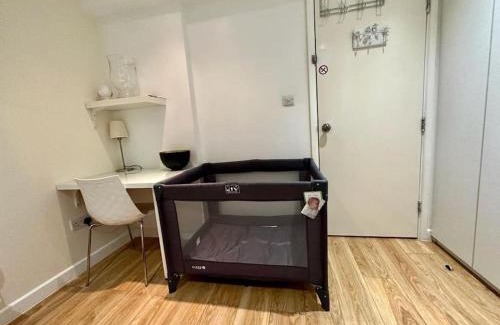 London City Centre Apartment | H4: Fantastic Apartment - 100m from Piccadilly Circus