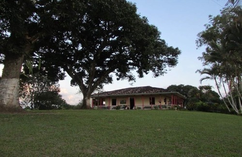 Montenegro House | Habitación Doble con baño privado - Finca Palma Soriano