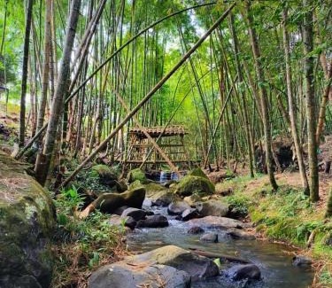 Cali House | Habitación Natural Casalegre