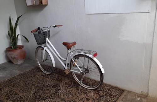 Tarapoto House | habitaciones con amplio jardin y arboles frutales en el centro Tarapoto