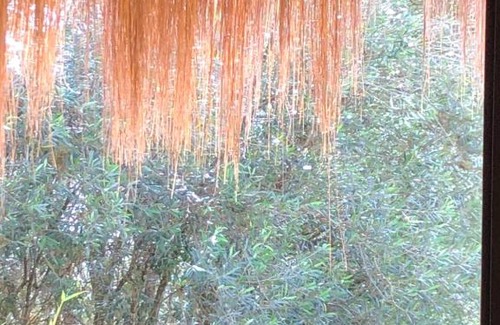 Villa de Leyva Bed & Breakfast | Habitaciones Luna Campestre