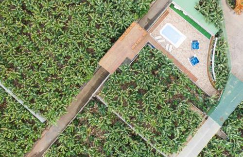 Buenavista del Norte Apartment | Hacienda La Dehesa (Only Adults)