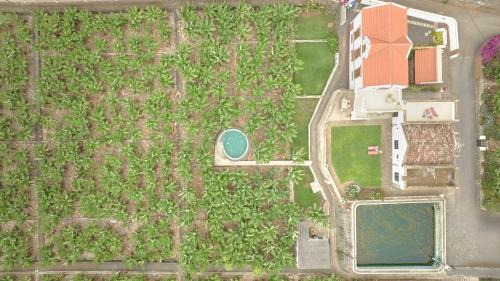 Puerto de la Cruz Villa | Hacienda Los Orovales