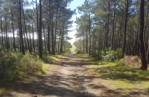 Messanges Bed & Breakfast | Hacienda Messanges