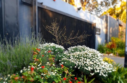 Greater Johannesburg Metropolitan Area Bed & Breakfast | Hadeda Hall
