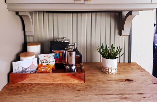 Old Southwest Cottage | Half-Mi to Riverwalk: Midtown Reno Oasis!