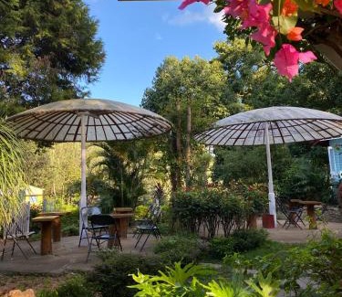 Chikkamagaluru House | Halli Berri Cottages