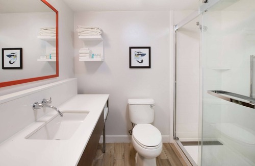 Phoenix Hotel | Hampton Inn Phoenix-Airport North