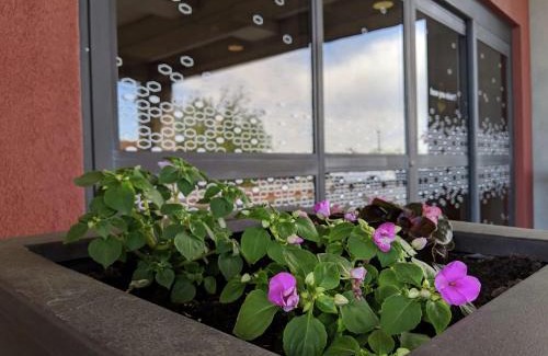 West Chester Hotel | Hampton Inn & Suites Cincinnati-Union Centre