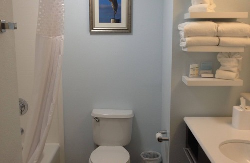 Rocky Point Hotel | Hampton Inn Tampa/Rocky Point-Airport