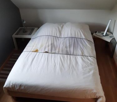 Lautenbachzell House | Hansi - Adults Only