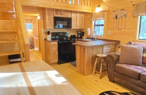 Leeper Cabin | Happy Bear Log Cabin near Cook Forest State Park