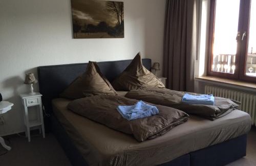 Hohegeiß Hotel | Harmonie Hotel Rust