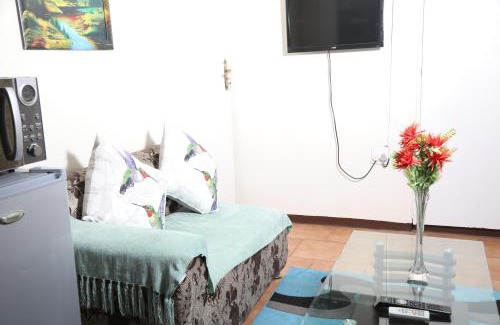 Greater Johannesburg Metropolitan Area House | Harmony Guest House