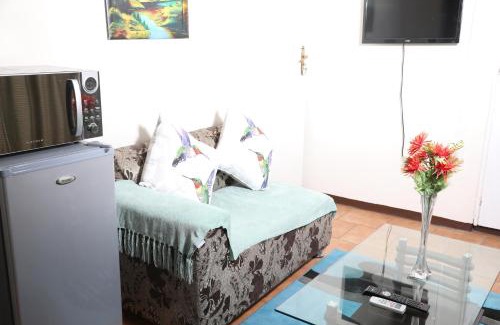 Greater Johannesburg Metropolitan Area House | Harmony Guest House
