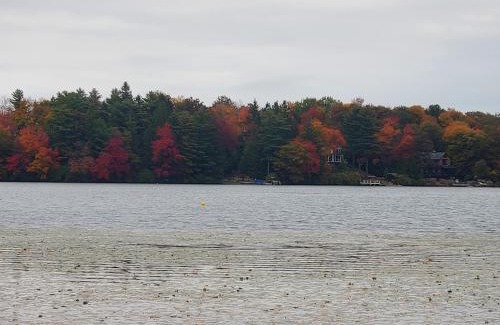 Lake Harmony Ski Chalet | Harmony in the Woods