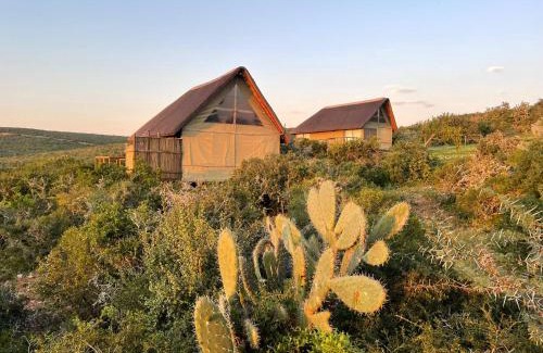 Nelson Mandela Bay Cabin | Harmony Luxury Tents & Safari