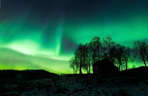 Harstad Apartment | Harstad, all seasons