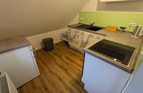 Tanne Apartment | Harzhaus Drei Hexen - Ferienwohnung Hexe 3