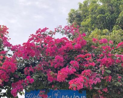 Hatta Resort | Hatta Valley Lodge