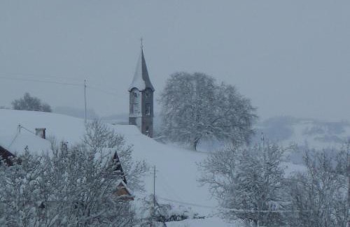 Immenstadt im Allgaeu House | Haus Alpenhof