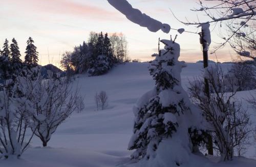 Immenstadt im Allgaeu House | Haus Alpenhof