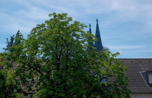 Altstadt-Nord Apartment | Haus am Dom - Apartments und Ferienwohnungen