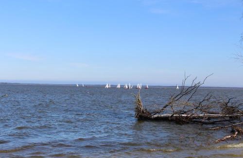 Fuhlendorf Apartment | Haus Boddensonne