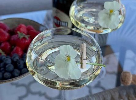 Bodenwerder Apartment | Haus Contessa