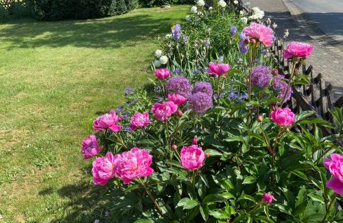 Rodershausen Apartment | Haus Dorfidyll