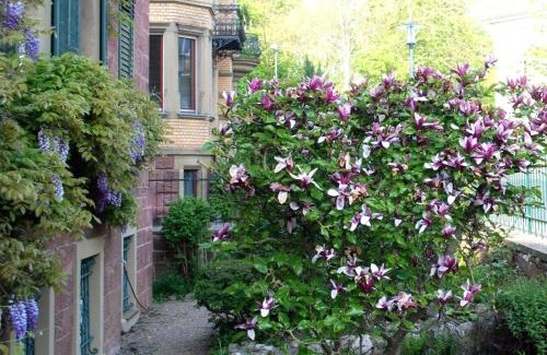 Bad Kissingen Apartment | Haus Häselbarth