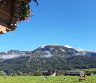 Abersee Apartment | Haus Heimatblick