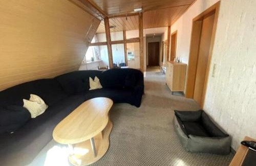 Hohegeiß Apartment | Haus PANORAMA - Appartement Auszeit 3
